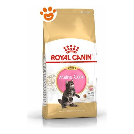 Royal Canin Cat FBN Kitten Maine Coon  - Royal Canin Cat FBN Kitten Maine Coon - Sacco Da 2 Kg
