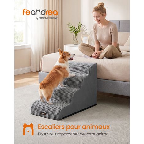 Escalier pour Chien, 4 Marches, Pente Douce, en Mousse, Antidérapant, Imperméable, 72x40x50cm, Gris Tourterelle (1/5)