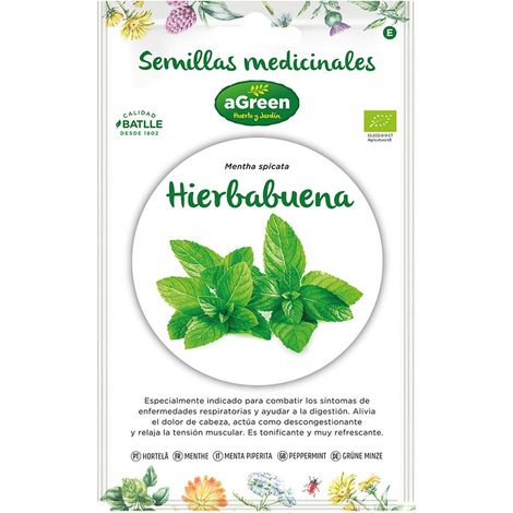 Beutel mit ökologischen „medizinischen“ Pfefferminzsamen 857005BOLSH Agreen