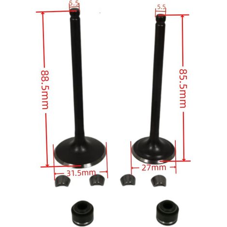 Soupapes de moteur de moto compatibles avec les joints d'huile RATO VORTX250 CPS250 RBT250 RW172FMM (1/4)