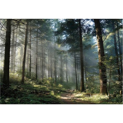 Papier peint mural forêt 3D arbres nature paysage intissé grand format design intérieur salon chambre pas cher 400x280 cm (1/5)