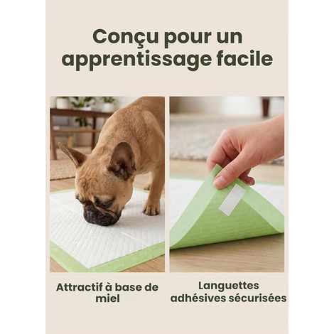 Training Pads for Dogs - (45 × 60 cm) (1/4)