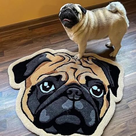 Haustier-Fotomatte – Unregelmäßig geformte, personalisierte Matte für Hunde und Katzen – Erinnerungsgeschenk (60 x 60 cm)