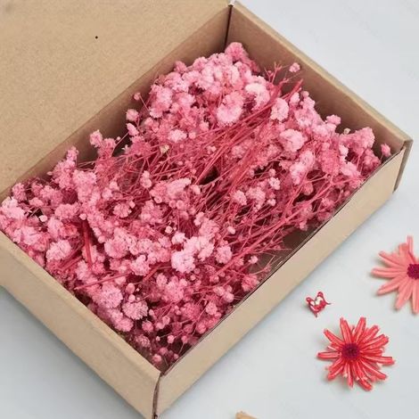 Gypsophila séchée rose 50 tiges, fleurs de bébé's breath, pour bouquets, mariage et décoration intérieure, douce et romantique