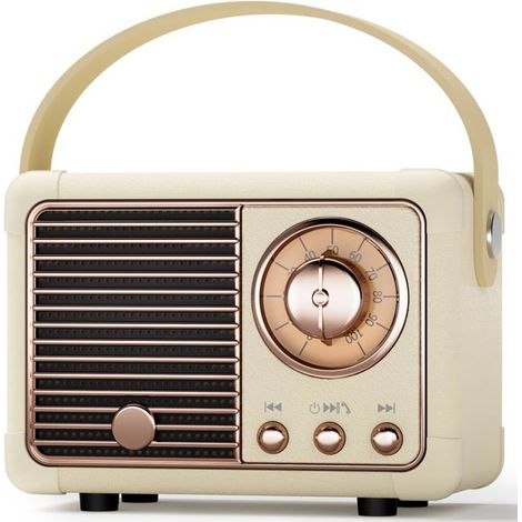 BelleRise - Enceinte Bluetooth Portable, Mini Enceinte Bluetooth Vintage, Port Clé USB/AUX/TF Carte, Decoration Chambre Deco Chambre Ado Fille (1/5)