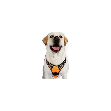 Harnais chien anti-traction orange XL, gilet réfléchissant réglable, attache devant, pour grand chien, American Staff, Border Collie, trajet voiture – (1/5)