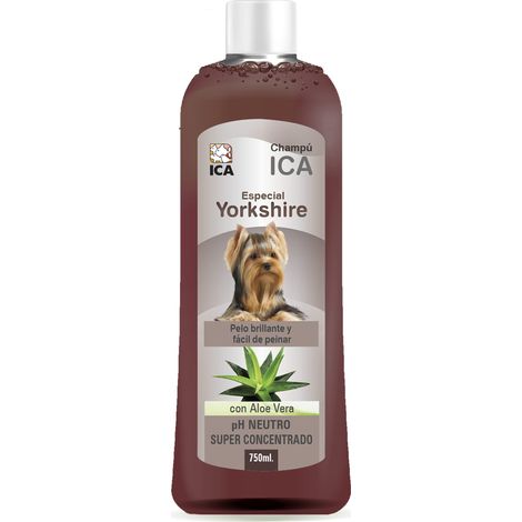 ICA CHPM19 Shampoo con Aloe Vera per Yorkshire