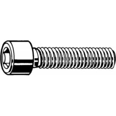 25 Vis BTR Inox A2 6 pans creux 6 x 30  mm (1/3)