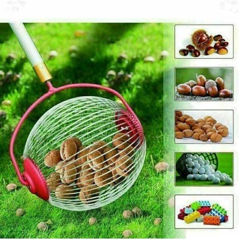 Ramasse-Noix - Rouleau Collecteur Pour Noix Châtaignes Marrons Noisettes - Manche Télescopique 48-105 Cm - Panier Flexible En Acier Et Aluminium - 1 Pièce (1/4)