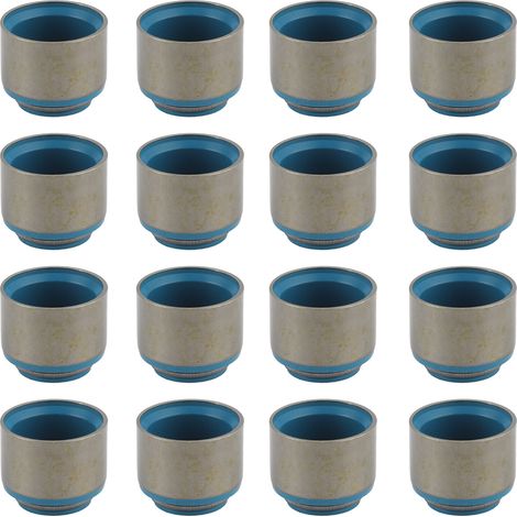 Kit de 16 joints de queue de soupape de rechange pour moteurs GM Small Block LS1/LS6 (1/5)