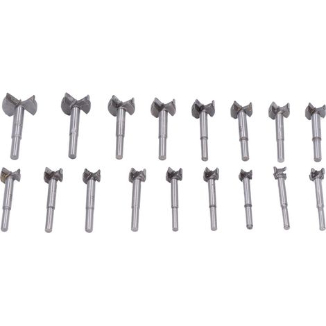Set mit 17 Forstnerbohrern (40 mm) aus Kohlenstoffstahl für Holzbearbeitung, Holzwerkzeuge, Präzisionsbohrungen von 15–40 mm (1/5)