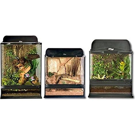 30x30x30 cm: Terrarium naturaliste Zoo Med avec système de ventilation frontal et supérieur