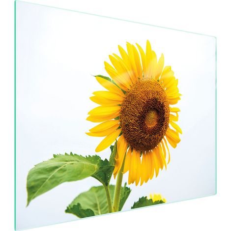 Tagliere in vetro 52x40 con motivo floreale (1/5)