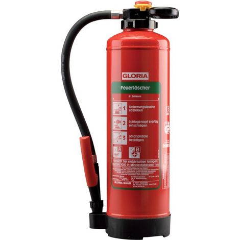 Schiuma Estintore 6 Sk Pro