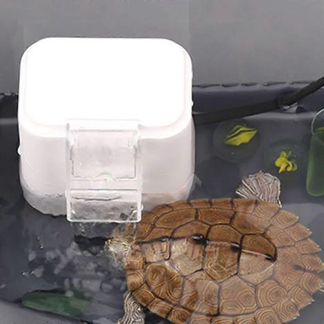Filtre interne d'aquarium avec cascade et filtration d'eau à faible niveau pour tortues. (1/4)