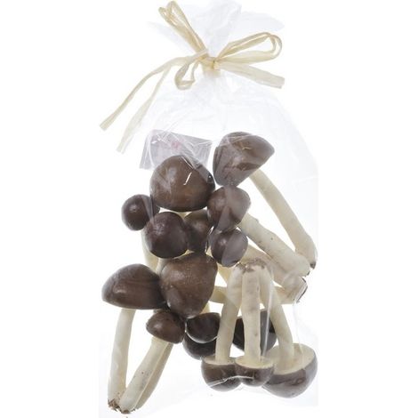 champignons triplés 10 cm 6 pièces MARRON LT1108506