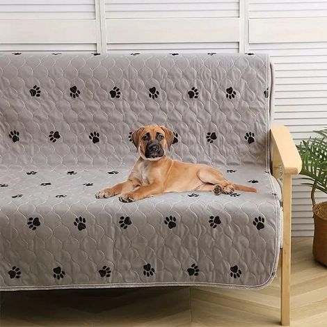 Tappetini per cani e gatti. Tappetino monoblocco morbido, lavabile e riutilizzabile. Tappetini assorbenti per l'addestramento, ideali per le cucce dei cani. (1/5)
