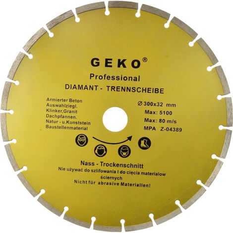 Disco di diametro 300x8x32mm segmento geko profi (10) (1/2)