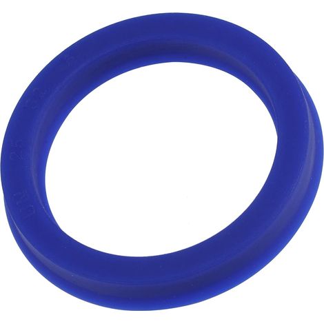 Radial Shaft Seal 25mm ID x 32mm OD x 5mm Width PU Oil Seal Blue Pack of 2 (1/5)