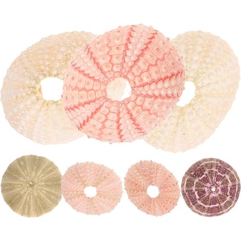 Pots suspendus GANAZONO en forme de coquillage pour plantes aériennes, lot 7 supports succulentes (1/5)