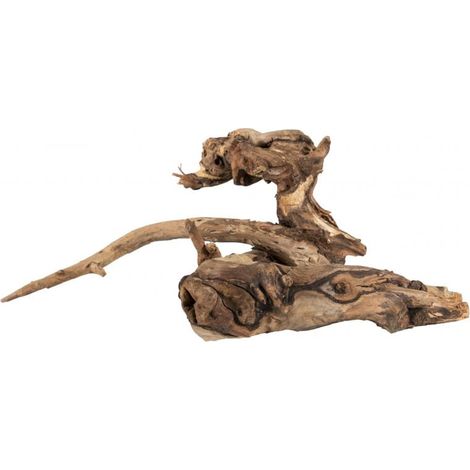 Racine décorative M 20-30cm forêt en bocal (1/5)