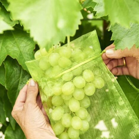 Traubenschutzbeutel, 100 Stück Obstschutzbeutel, Netz-Gartenbeutel für Pflanzen, Fassschutzbeutel vor Wespen, Vögeln, Essigfliegen von Ce (1/5)