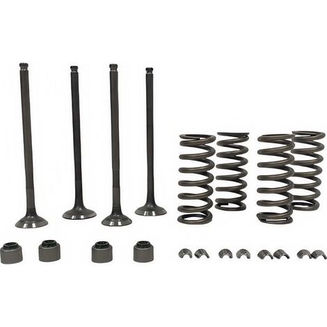Les joints de queue de soupape pour moteur de moto sont compatibles avec les ressorts et les joints de queue de soupape YAMAHA YFZ R15 TMAX155 VIVINO155 pour éviter les fuites d'huile. (1/3)