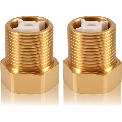 Brass Check Valves 1" Internal Thread DN25 (1/3)