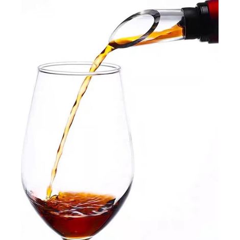 Cantinetta per vino – refrigeratore per bottiglie – cantinetta per vino in acciaio inox – decanter con asta di miscelazione e aeratore – set da 2 pezzi (1/5)