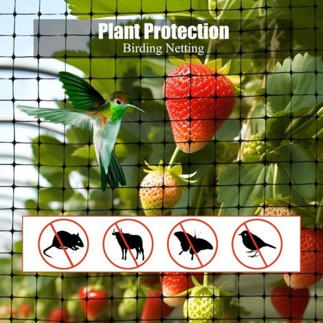 Rete per uccelli CCYKXA da giardino, 2,1 x 15 m, robusta e durevole, riutilizzabile per proteggere piante, frutta, fiori e laghetti dagli uccelli. (1/4)