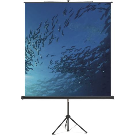 Magnetoplan Stativ Leinwand Standard, 2000 x 2000 mm