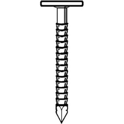 Pointe en Vrac Tête Extra Large Annelée Inox A4 - 2.8/3.1x30 mm - 1 kg - D-Work (1/2)