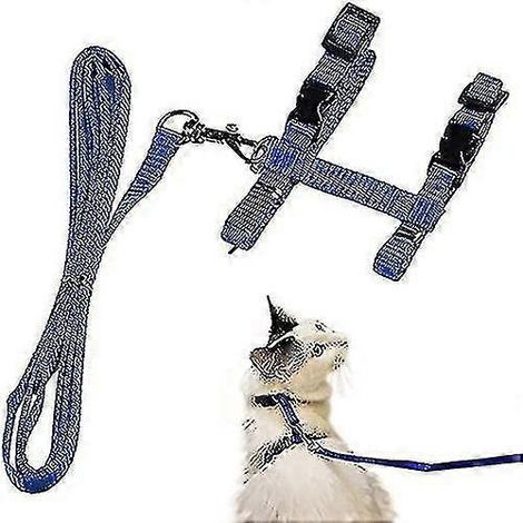 Harnais pour chat avec laisse, harnais réglable, laisse pour chat, collier pour chaton, anti-fugue (1/5)