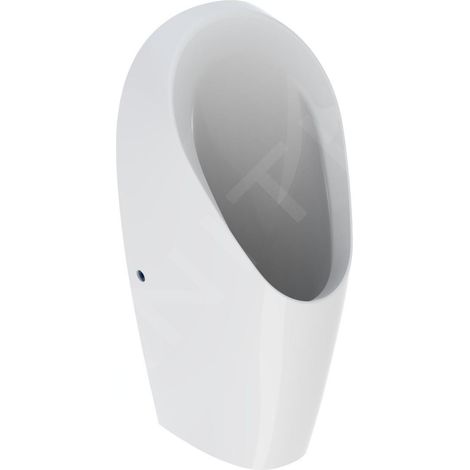 Geberit 116141001 Urinal Tamina sans eau (1/3)