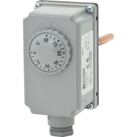 ESBE Tauchthermostat TIA122, SPDT 0-90 Grd., 100mm, 86901100 (1/3)