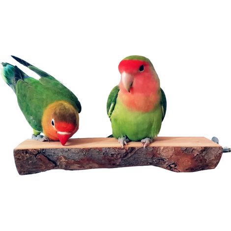 Lot de 2 perchoirs en bois pour perroquets, plateforme suspendue, accessoires pour cage à oiseaux (1/5)