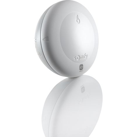 SOMFY 2401220 - Thermis Wirefree io - Capteur de température extérieur