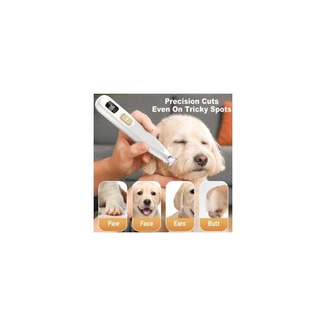 Tondeuse silencieuse pour pattes de chien et chat – Outil de toilettage rechargeable USB avec lumière LED, précision professionnelle
