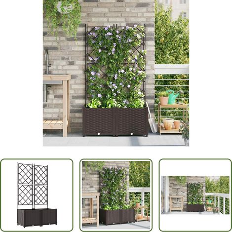 Pot de jardin - Cache-pot de jardin 2 pcs Marron 80 x 40 x 143 cm Acier (1/5)