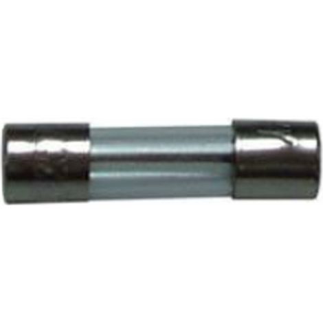 Confezione 10pz FUSIBILE 10 Amp per MICROONDE E VARI Dimensioni 5x20mm