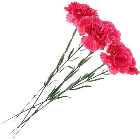 Lot de 5 œillets artificiels décoratifs pour la maison, les fêtes et les mariages. (1/5)