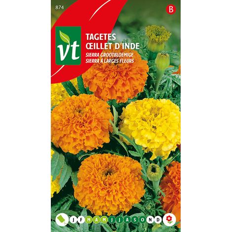 Œillet D'Inde Sierra Orange-Jaune - Ca. 1 gr (Livraison Gratuite) (1/2)