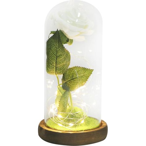 Lampe LED Saint-Valentin avec Fleur Artificielle Rose en Mousse sous Cloche en Verre Base Café Décoration Intérieure Romantique pour Bureau et Maison (1/5)