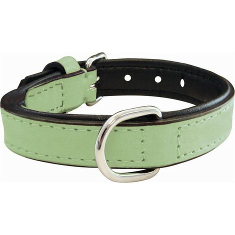 Collare per Cani Gloria Trapunta Verde (30 x 1,5 cm) (1/5)