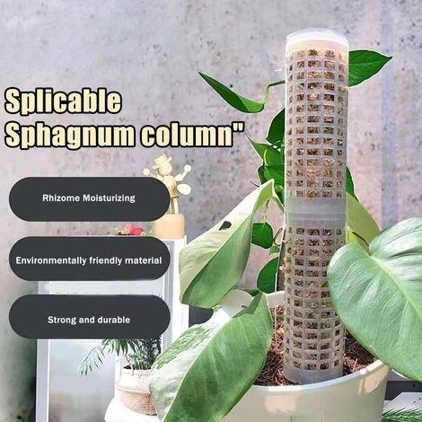Poteau en mousse, support pour plantes grimpantes en plastique, support pour pot en mousse (1/5)
