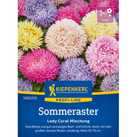 Kiepenkerl Profi-Line Blumensamen Sommeraster Lady Carol Mischung für ca. 50 Pflanzen (1/2)