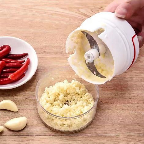 Hachoir à ail, presse-ail en acier inoxydable, ustensile de cuisine, accessoire de cuisine (1/5)
