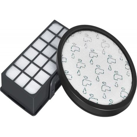2 Filtre, Mousse lavable, Filtre HEPA, pour Rowenta X-Trem Power Cyclonic RO69XX (1/5)