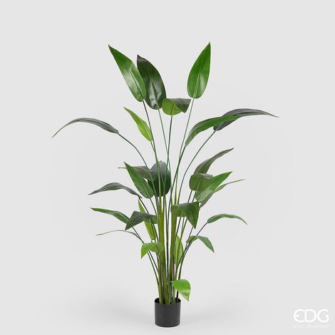 EDG Enzo De Gasperi Strelizia con Vaso x26 Pianta Artificiale H 184 Cm Verde