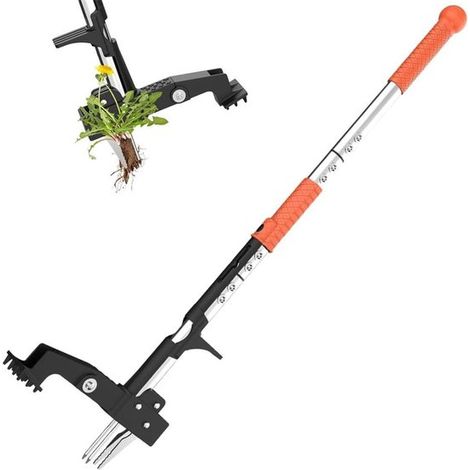 Estrattore per erbacce con manico, per cardi, rimuove le erbacce, 4 punte in acciaio inox, 100 cm, nero (1/5)